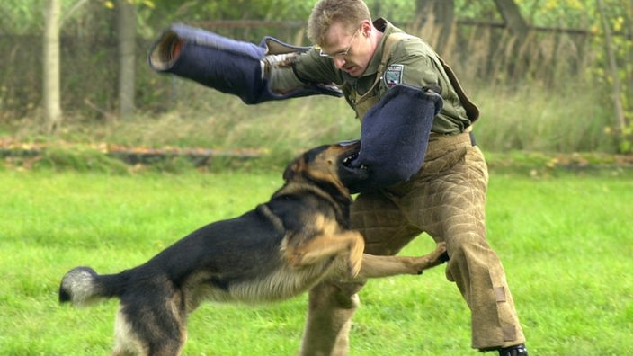 Ein Polizist bildet einen Deutschen Schäferhund aus.