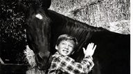 Szene aus der Serie "Fury": Ein Junge umarmt ein schwarzes Pferd