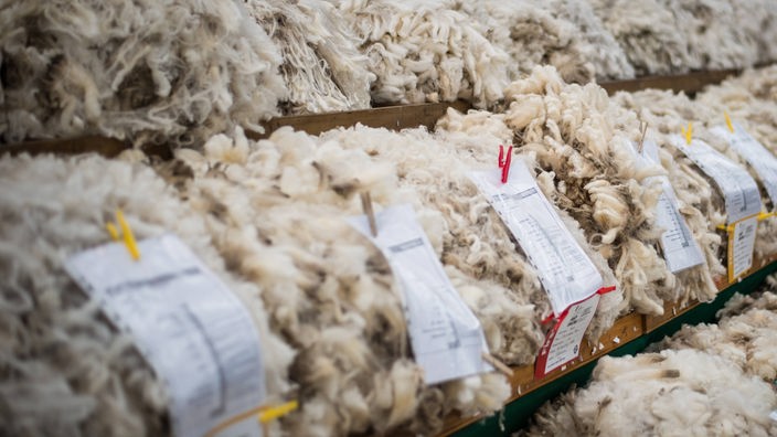 Regale voller Schafswolle