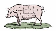 Grafik: Schwein, auf dem verschiedene Zonen mit Zahlen markiert sind.
