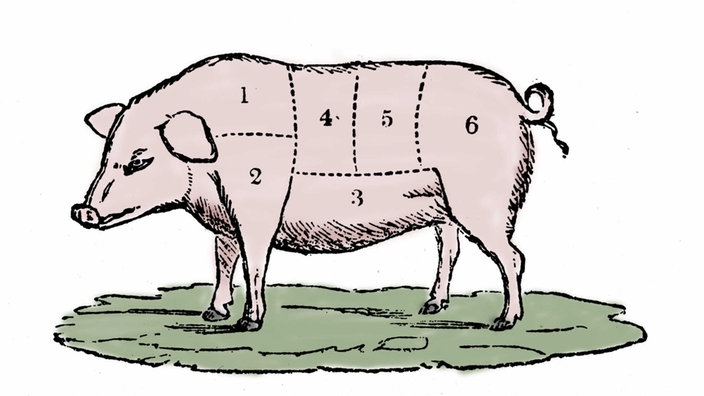 Grafik: Schwein, auf dem verschiedene Zonen mit Zahlen markiert sind. | Bildquelle: WDR/picture alliance/Leemage Grafik: Schwein, auf dem verschiedene Zonen mit Zahlen markiert sind.