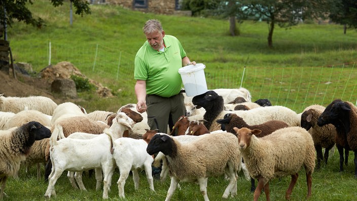 Ziegen-Züchter Bernd Merscher füttert seine Ziegen und Schafe