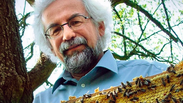 Bienenforscher Jürgen Tautz hält Bienenwabe in der Hand.