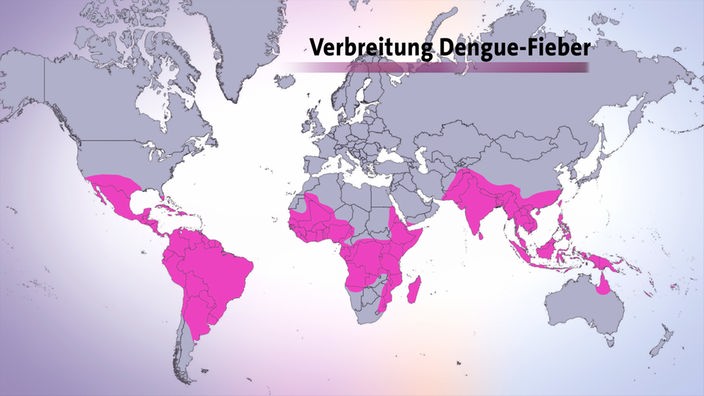 Weltkarte: Verbreitung Dengue-Fieber 