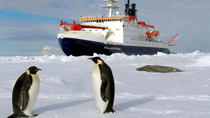 Das deutsche Forschungsschiff 'Polarstern' in der Antarktis, im Vordergrund zwei Pinguine.