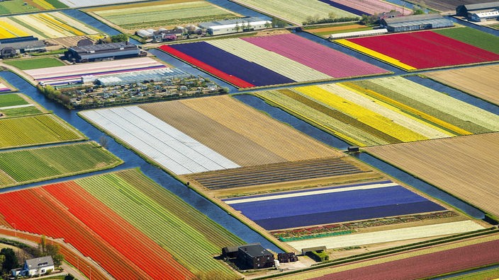 Luftbild von verschieden farbigen Feldern