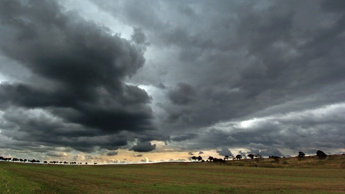 Wolken über einer Wiese mit Bäumen im Hintergrund | Bildquelle: dpa/Peter Förster Wolken über einer Wiese mit Bäumen im Hintergrund