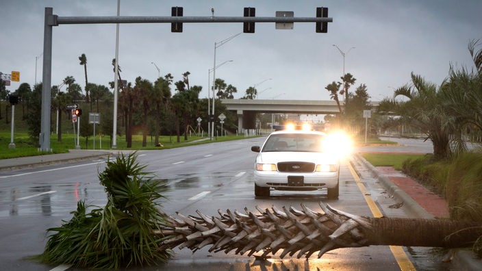 Nach einem Hurrikan sind Bäume auf eine Straße gestürzt