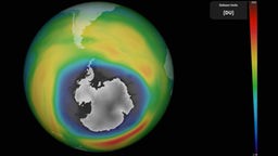 Gesamtansicht der Erde: Über der Arktis ist das Ozonloch weiß dargestellt, unmittelbar angrenzende Gebiete sind rot dargestellt und markieren die Zerstörung der Ozonschicht in diesen Gegenden.