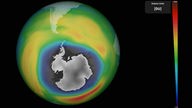 Gesamtansicht der Erde: Über der Arktis ist das Ozonloch weiß dargestellt, unmittelbar angrenzende Gebiete sind rot dargestellt und markieren die Zerstörung der Ozonschicht in diesen Gegenden.