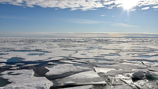 Auf dem Arktischen Ozean am Nordpol schwimmen mehrere Eisplatten