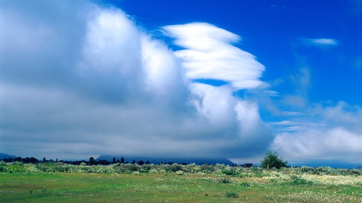 Stratuswolken über einer weiten grünen Graslandschaft.