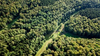 Luftaufnahme von Deutschland mit hessischem Waldgebiet