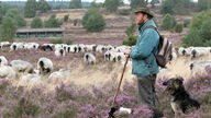 Ein Schäfer hütet mit seinem Hund eine Heidschnucken-Herde in der Lüneburger Heide. Im Hintergrund sieht man die traditionellen Imkerkörbe.