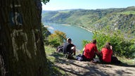 Drei Wanderer machen Rast und blicken auf den Rhein vor ihnen. 