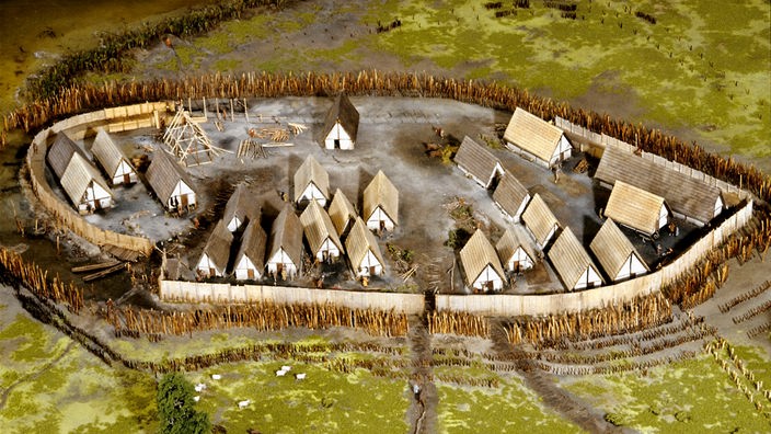 Modell einer frühzeitlichen Palisaden-Siedlung am Federsee-Moor .