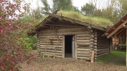 Primitives Blockhaus aus Holzstämmen mit einem Grasdach.