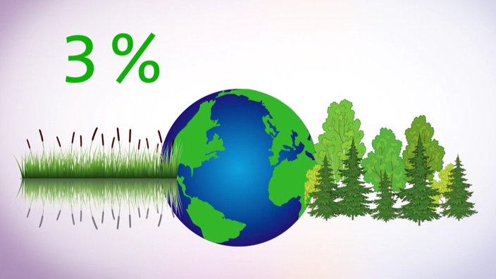 Grafik: Weltkugel flankiert von Schilf und Bäumen; über dem Schilf steht "3 Prozent". 
