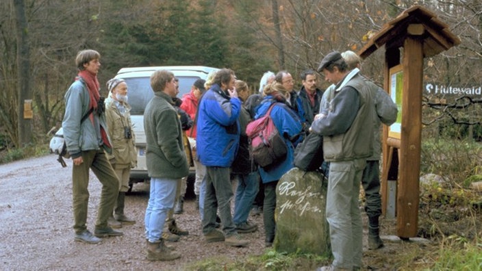 Besuchergruppe im Hutewald. | Bildquelle: Prof. Dr. Bernd Gerken Besuchergruppe im Hutewald.