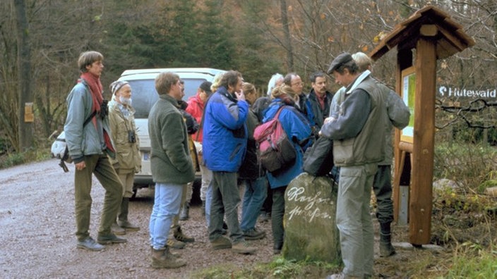 Besuchergruppe im Hutewald.