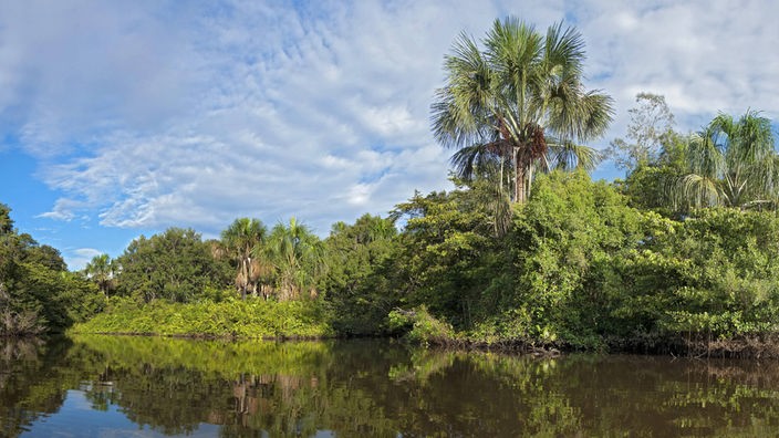 Tropischer Regenwald und See in Ecuador