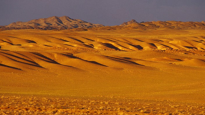 Sanddünen in der Wüste Gobi.