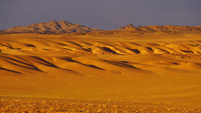 Sanddünen in der Wüste Gobi