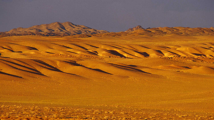 Sanddünen in der Wüste Gobi | Bildquelle: Mauritius Images/Sven Zellner Sanddünen in der Wüste Gobi