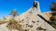 Ein spitzer Hügel aus erodiertem Sandstein ist umrandet von Palmen und Gräsern.