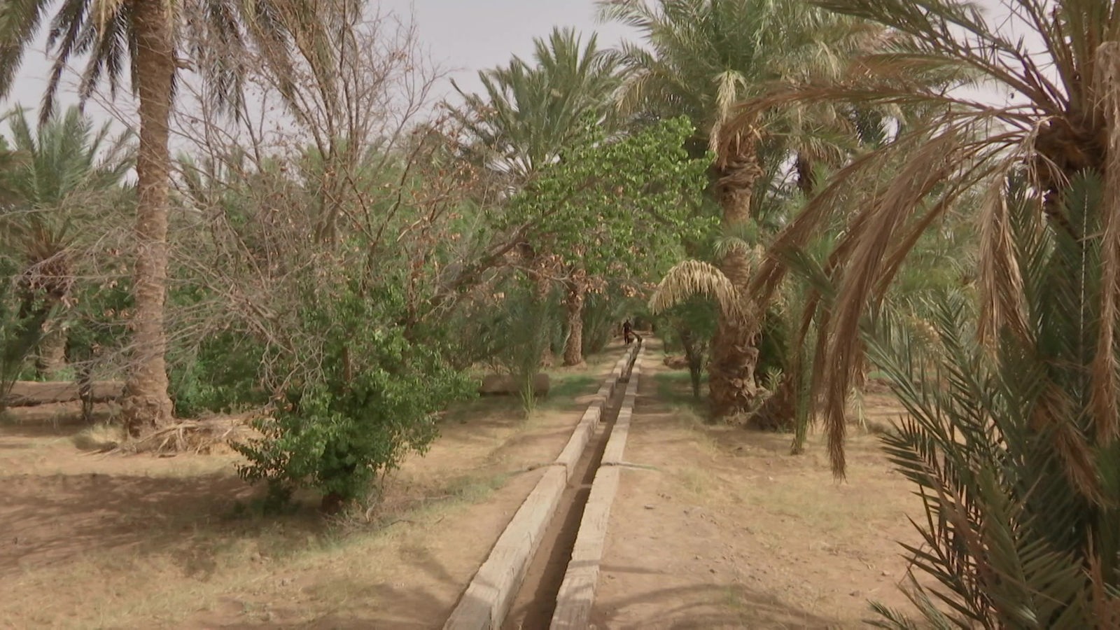Screenshot aus dem Film "Wie Oasen mitten in der Wüste bewässert werden"