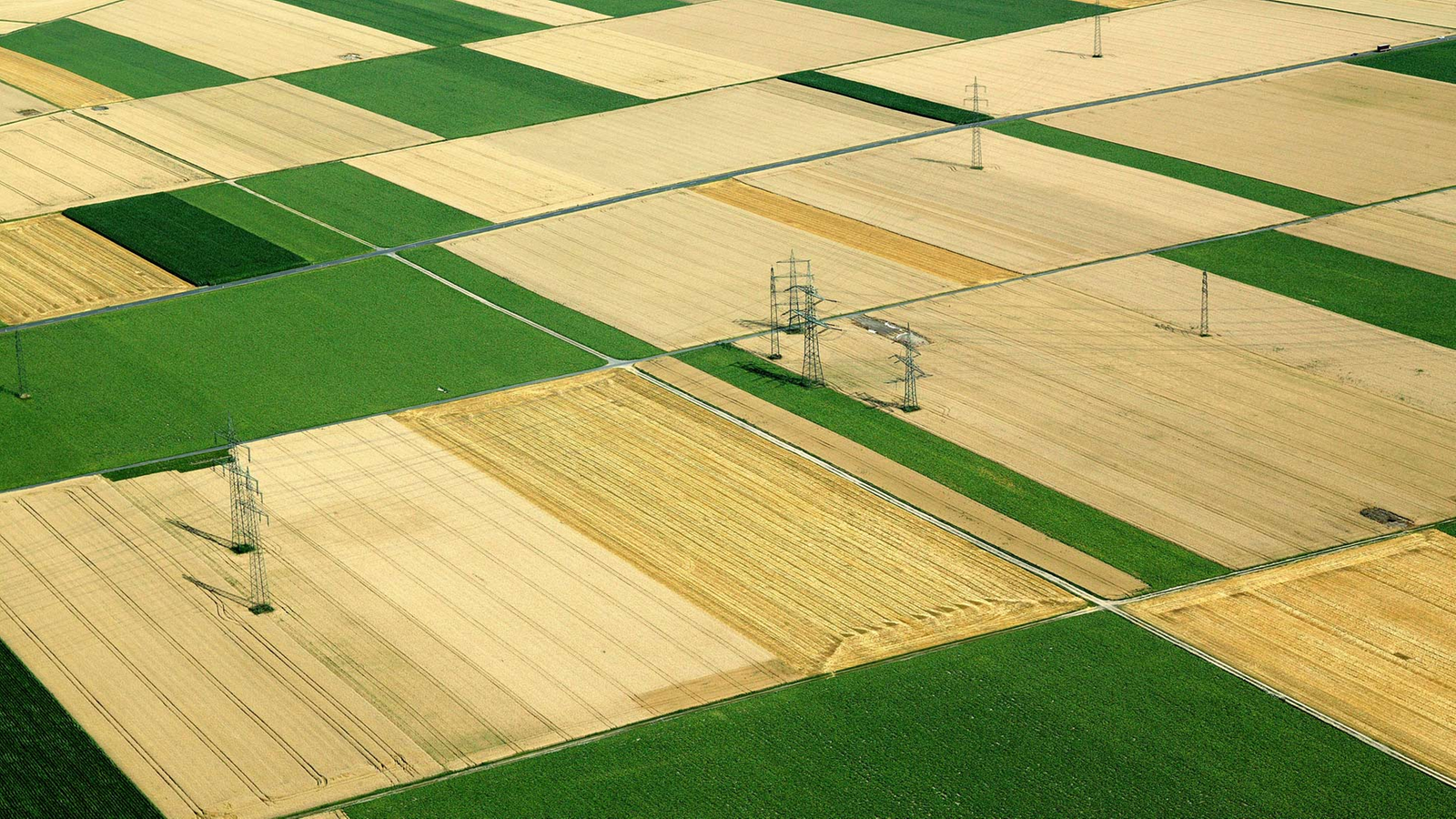 Geschichte der Landwirtschaft: Der "Grüne Plan" - Landwirtschaft