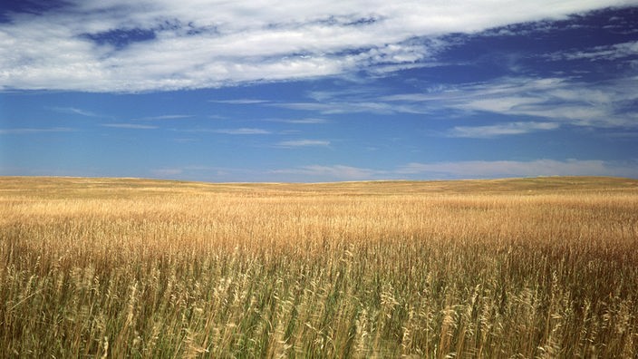 Grassteppe im Badlands Nationalpark des US-amerikanischen Bundesstaates Süd-Dakota
