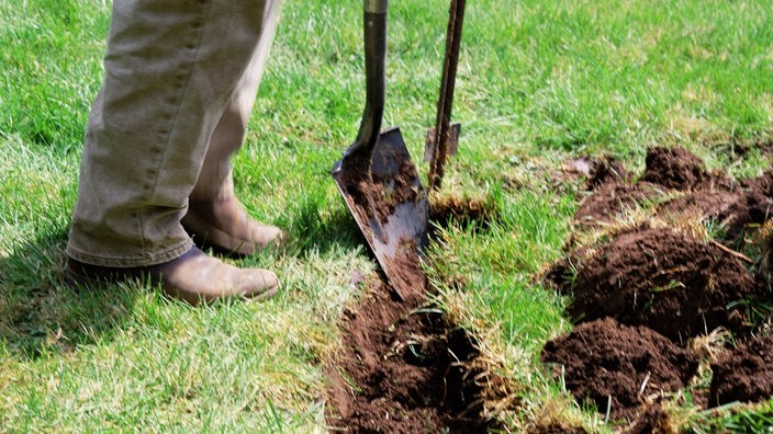 Eine Rasenfläche wird umgegraben