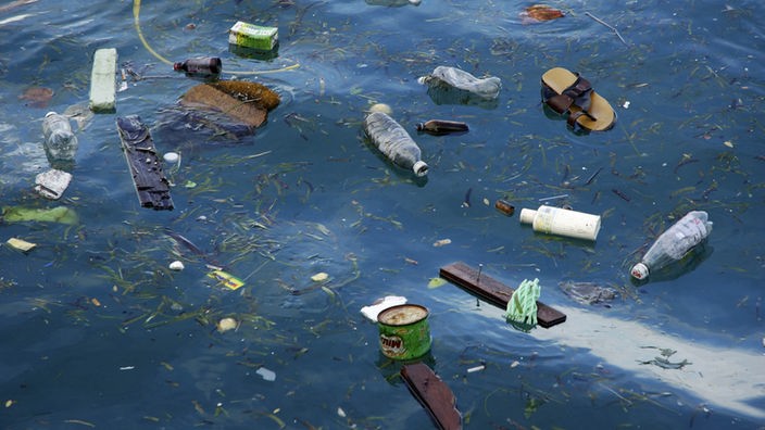 Plastikflaschen, eine Konservendose und eine Sandale treiben zwischen Holz- und Pflanzenteilen im Meer.