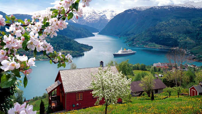 Obstbäume in Norwegen