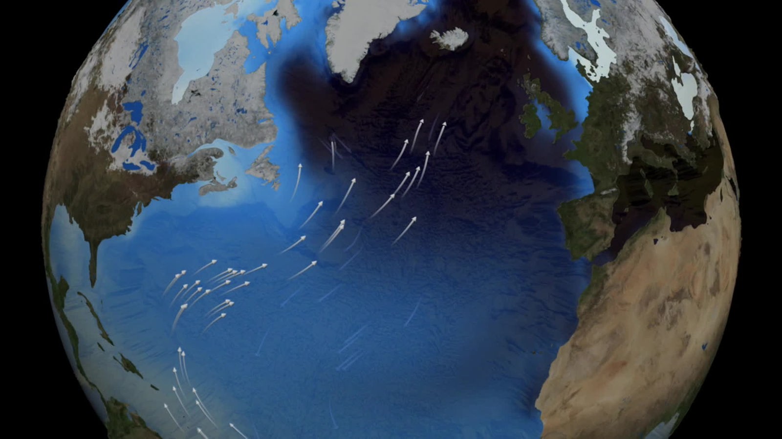 Screenshot aus dem Film "Das globale Förderband der Meere"