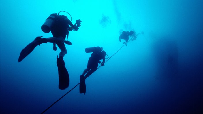 Zwei Taucher schwimmen entlang eines Seils Richtung Wasseroberfläche. | Bildquelle: Mauritius Images Zwei Taucher schwimmen entlang eines Seils Richtung Wasseroberfläche.