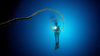 Taucher mit Taschenlampe unter Wasser.