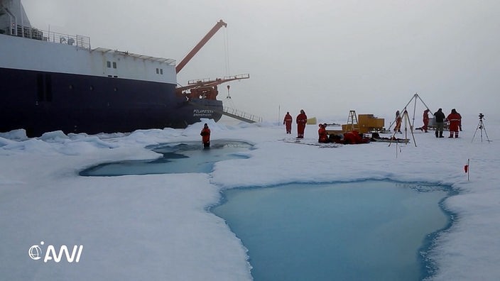 Screenshot aus dem Film "Tiefseeforschung in der Arktis"