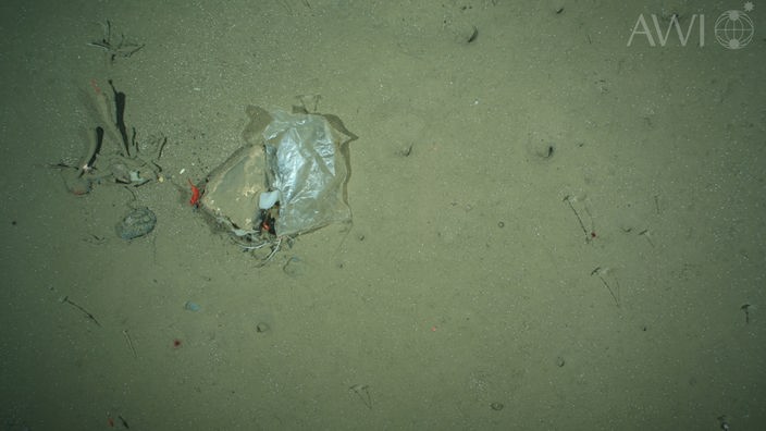 Plastiktüte in 2500 Metern Tiefe