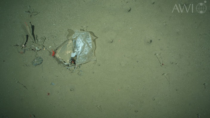 Plastiktüte in 2500 Metern Tiefe | Bildquelle: AWI Plastiktüte in 2500 Metern Tiefe