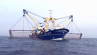 Fischtrawler auf dem Meer.