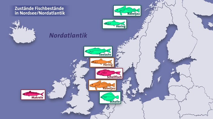 Grafik: Zustand der Fischbestände in der Nordsee und dem Nordatlantik: