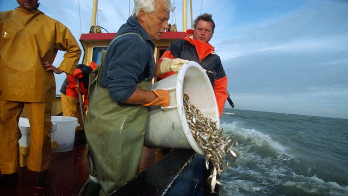 Fischer kippen Fische über Bord | Bildquelle: WDR/Imago/Arco Images Fischer kippen Fische über Bord