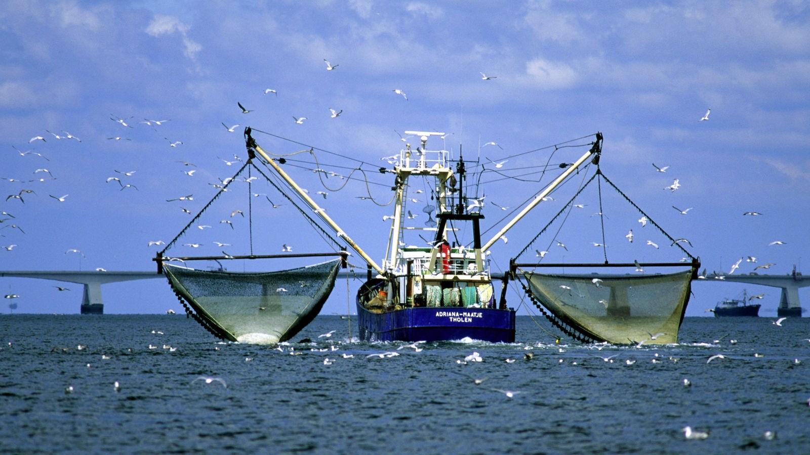 Meer: Überfischung - Überfischung der Meere - Meer - Natur - Planet Wissen
