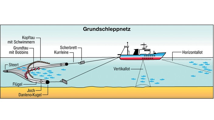 Grafik eines Grundschleppnetzes. Das Netz ist mit zwei Leinen am Schiff befestigt und wird wie ein geöffneter Fallschirm im Wasser hinter diesem hergezogen.