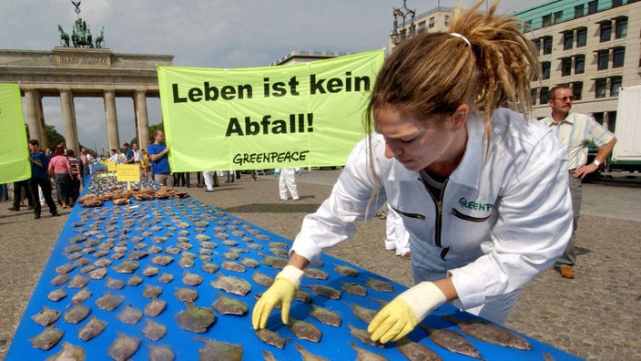 Greenpeace-Mitarbeiterin demonstriert vor dem Brandenburger Tor auf einem 100 Meter langen Tisch den ungenutzten Beifang von zwei Stunden Fangzeit eines Nordseekutters: 11.000 tote Jungschollen und andere Meerestiere