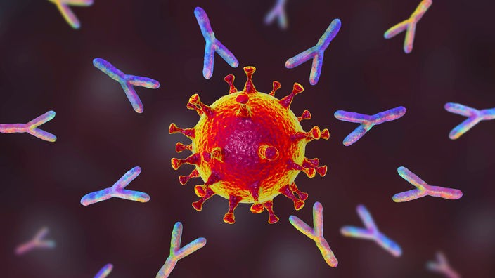 SARS-CoV-2 Coronavirus umringt von Antikörpern