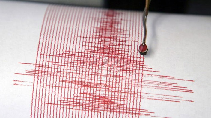 Deutlicher Ausschlag in der Kurve eines Seismogramms. | Bildquelle: dpa Deutlicher Ausschlag in der Kurve eines Seismogramms.