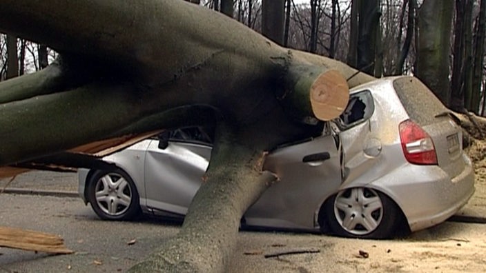 Ein umgestürzter Baum liegt in Dortmund auf einem unbesetzten Auto.